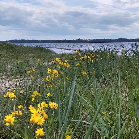 8 Person In Aabenraa-by Traum Feriehus